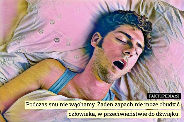 
    Podczas snu nie wąchamy. Żaden zapach nie może obudzić człowieka, w przeciwieństwie