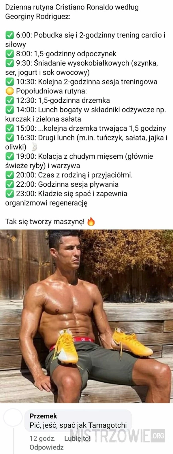 
    Dzień z życia Ronaldo