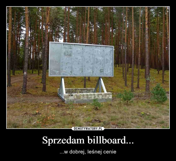 
    Sprzedam billboard...