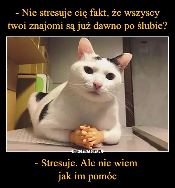 
    - Nie stresuje cię fakt, że wszyscy twoi znajomi są już dawno po ślubie? - Stresuje. Ale nie wiem 
jak im pomóc