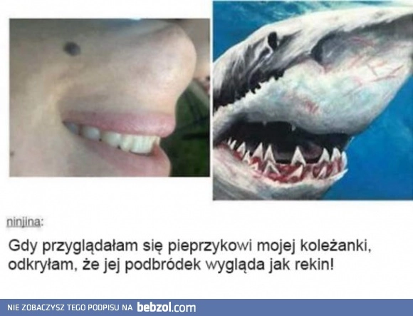 
    Pół koleżanka pół rekin