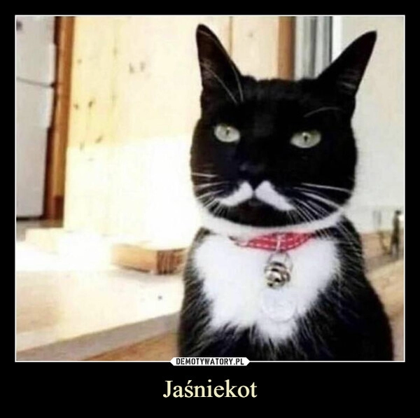 
    Jaśniekot