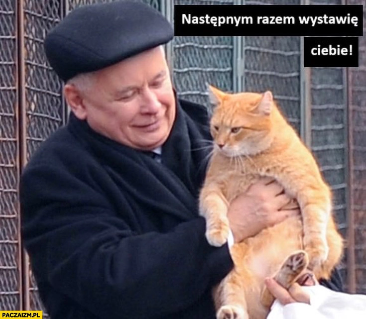 
    Kaczyński do kota następnym razem wystawię ciebie w wyborach