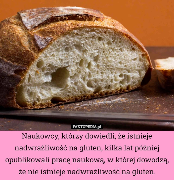 
    Naukowcy, którzy dowiedli, że istnieje nadwrażliwość na gluten, kilka lat