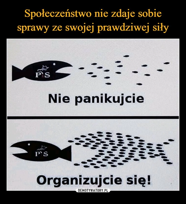 
    Społeczeństwo nie zdaje sobie sprawy ze swojej prawdziwej siły