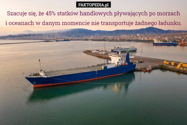 
    Szacuje się, że 45% statków handlowych pływających po morzach
i oceanach