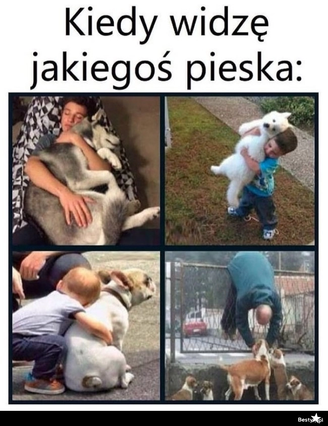 
    Miłość do piesków 