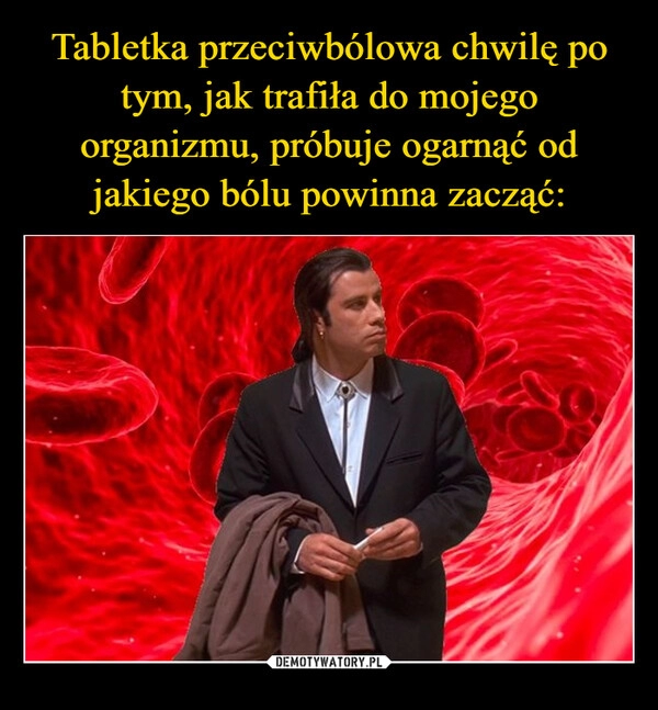 
    Tabletka przeciwbólowa chwilę po tym, jak trafiła do mojego organizmu, próbuje ogarnąć od jakiego bólu powinna zacząć: