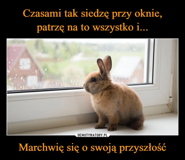 
    Czasami tak siedzę przy oknie, patrzę na to wszystko i... Marchwię się o swoją przyszłość