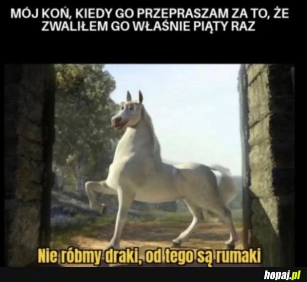 
    Rumak