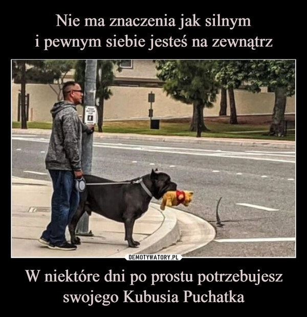 
    Nie ma znaczenia jak silnym
i pewnym siebie jesteś na zewnątrz W niektóre dni po prostu potrzebujesz
swojego Kubusia Puchatka