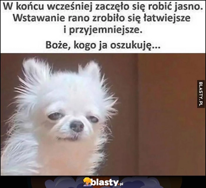 
    W końcu wcześniej zaczęło się robić jasno, wstawanie rano zrobiło się łatwiejsze i przyjemniejsze. Boże, kogo ja oszukuję pies piesek