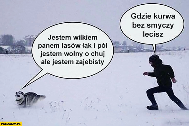 
    Jestem wilkiem panem lasów, łąk i pól, jestem wolny. Gdzie kurna bez smyczy lecisz? Goni psa