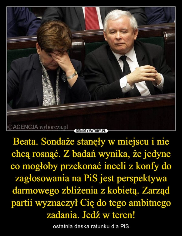 
    Beata. Sondaże stanęły w miejscu i nie chcą rosnąć. Z badań wynika, że jedyne co mogłoby przekonać inceli z konfy do zagłosowania na PiS jest perspektywa darmowego zbliżenia z kobietą. Zarząd partii wyznaczył Cię do tego ambitnego zadania. Jedź w teren!