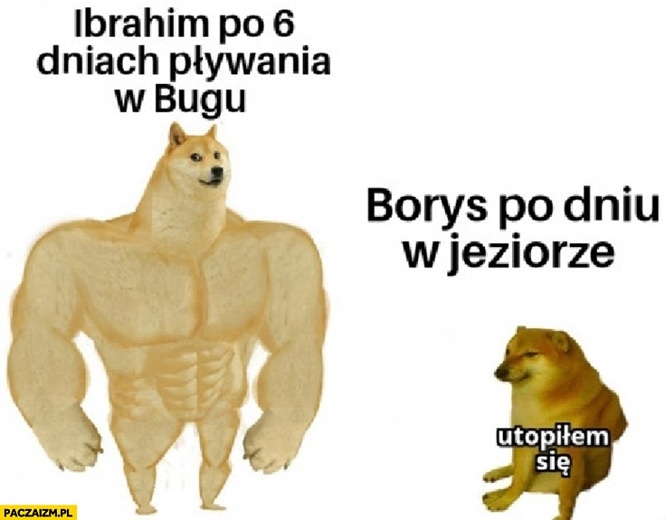 
    Ibrahim po 6 dniach pływania w Bugu vs Grzegorz Borys po dniu w jeziorze utopiłem się pies pieseł doge cheems