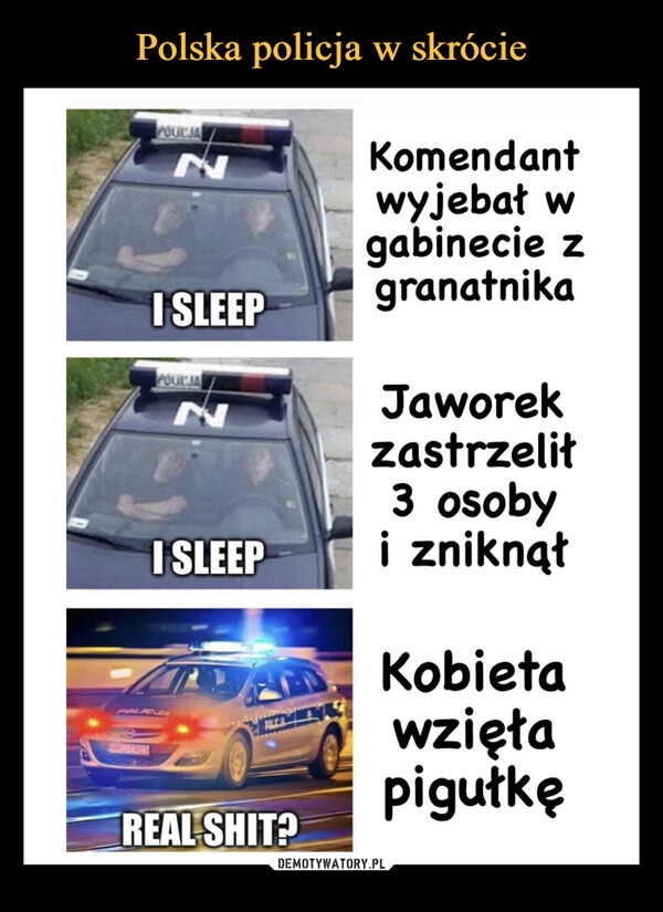 
    Polska policja w skrócie