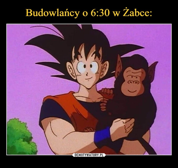 
    Budowlańcy o 6:30 w Żabce: