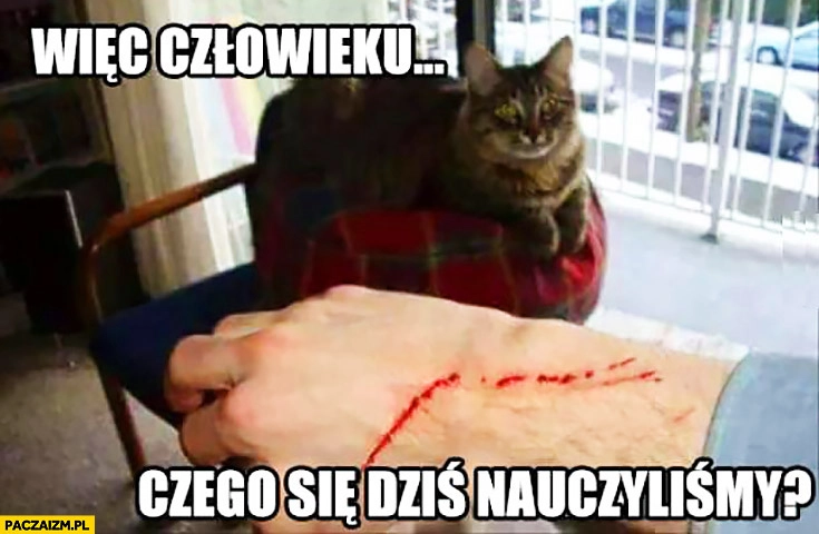 
    Więc człowieku czego się dziś nauczyliśmy? Kot podrapana ręka