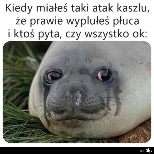 
    Napad kaszlu 