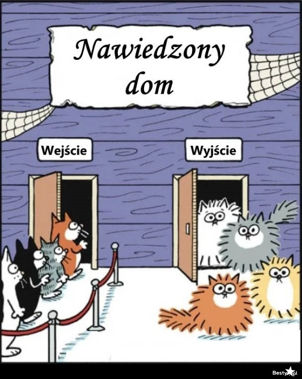 
    Nawiedzony dom 