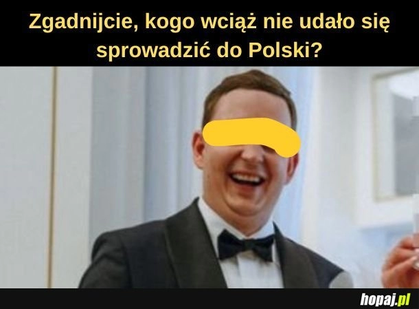 
    Wciąż.