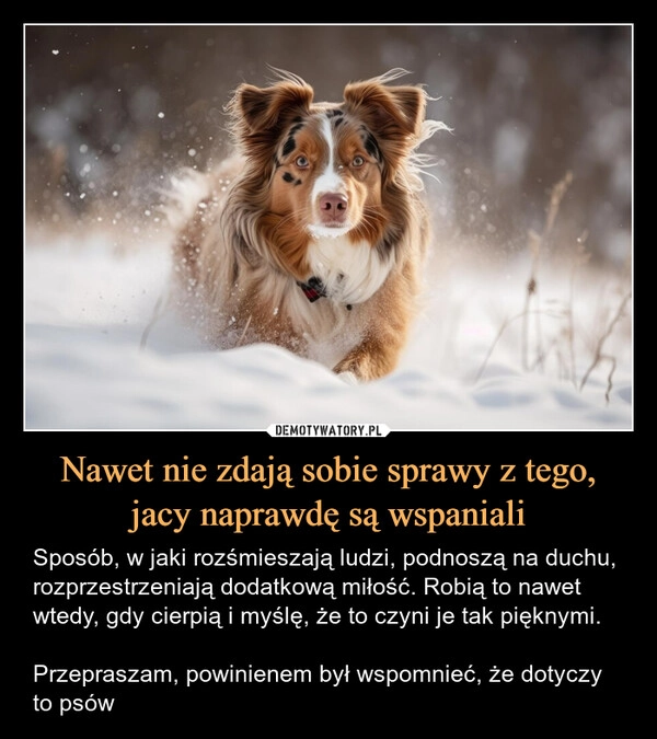 
    Nawet nie zdają sobie sprawy z tego, jacy naprawdę są wspaniali