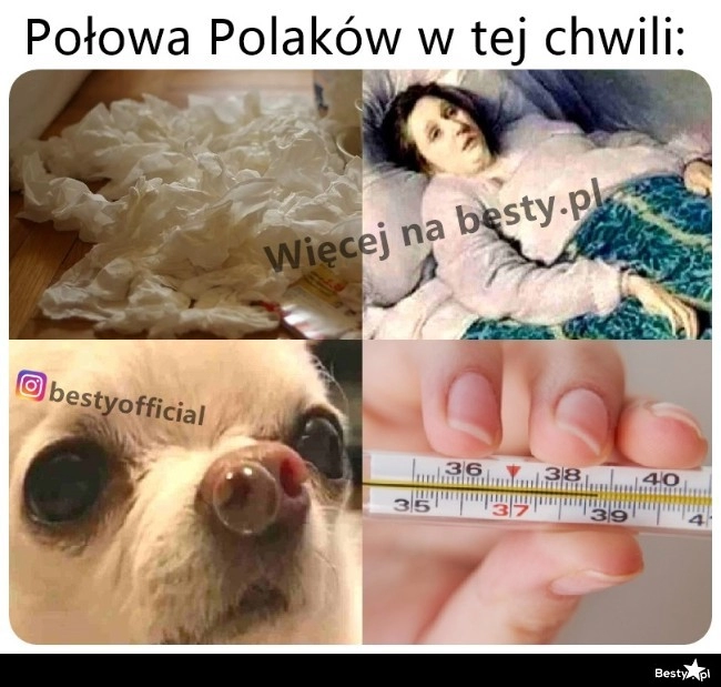 
    No i wyłożyło 