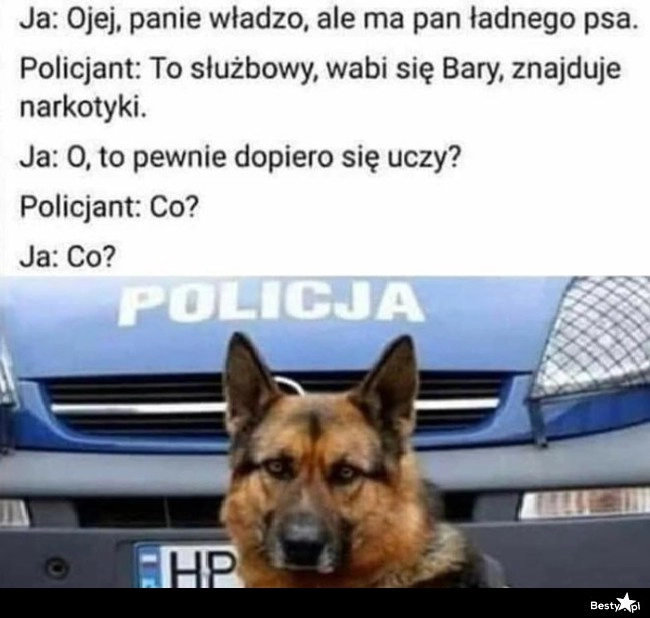 
    Pies służbowy 