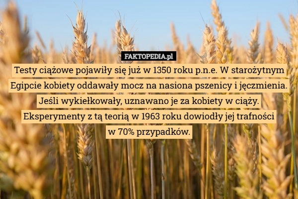 Testy ciążowe pojawiły się już w 1350 roku p.n.e. W starożytnym Egipcie