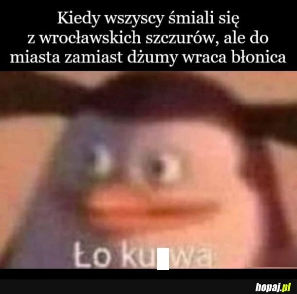 
    Here we go again