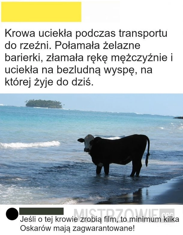 
    Kogo byście obsadzili w tej roli?