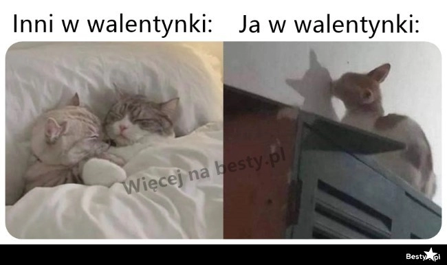 
    Walentynki 