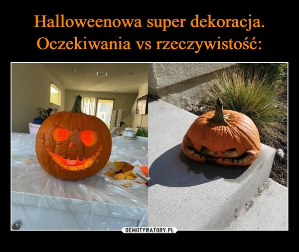 
    
Halloweenowa super dekoracja.
Oczekiwania vs rzeczywistość: 