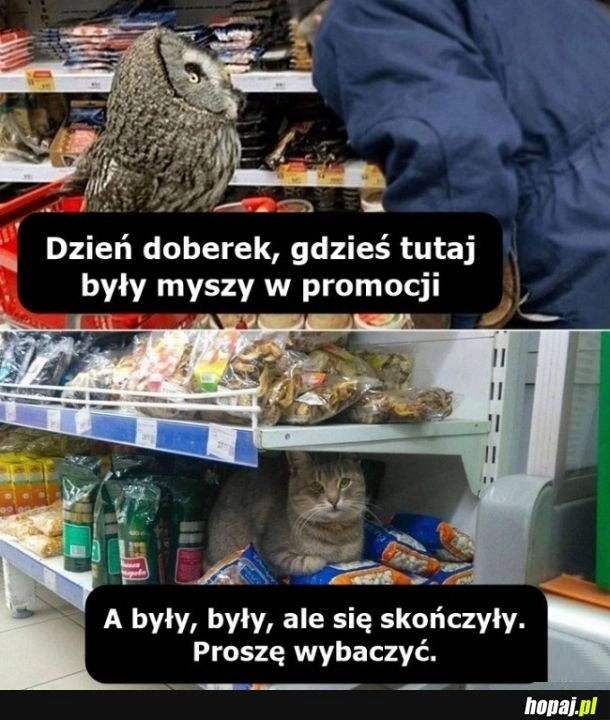 
    Zakupy