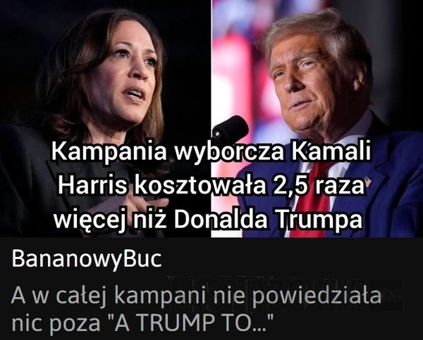 
    Kampania