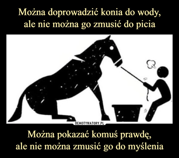 
    Można doprowadzić konia do wody,
ale nie można go zmusić do picia Można pokazać komuś prawdę,
ale nie można zmusić go do myślenia