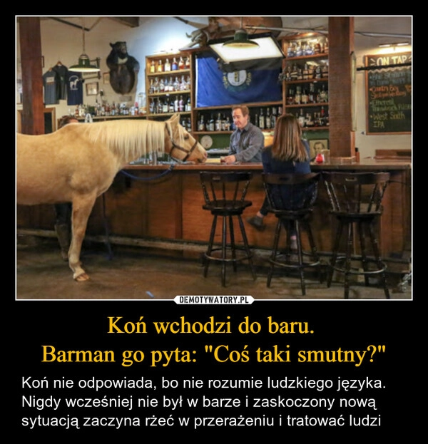 
    Koń wchodzi do baru. 
Barman go pyta: "Coś taki smutny?"