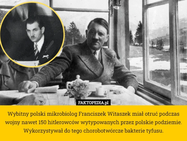 
    Wybitny polski mikrobiolog Franciszek Witaszek miał otruć podczas wojny