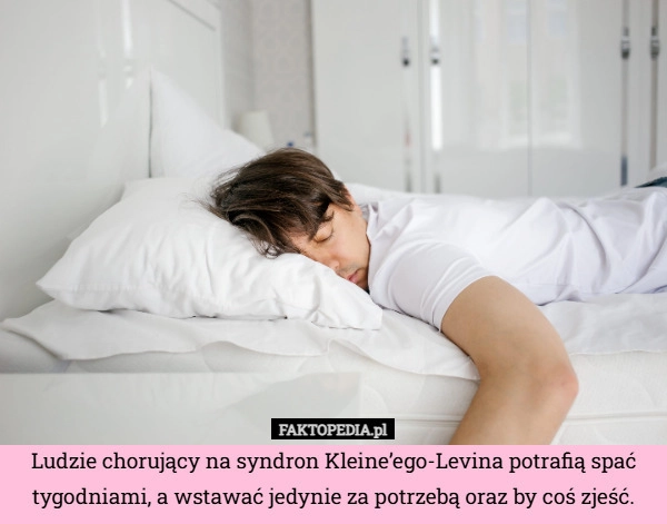 
    Ludzie chorujący na syndron Kleine’ego-Levina potrafią spać tygodniami,