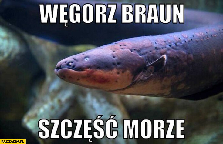 
    Grzegorz Węgorz Braun szczęść morze
