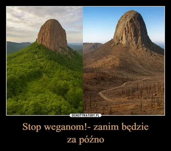 
    Stop weganom!- zanim będzie
za późno