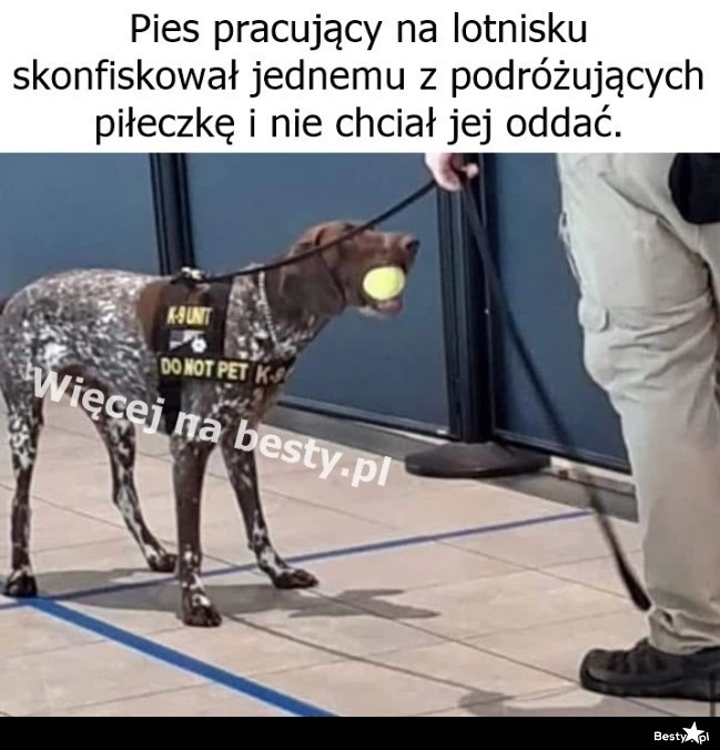 
    Ta piłeczka już jest moja 