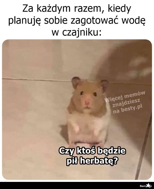 
    Wypada zapytać 