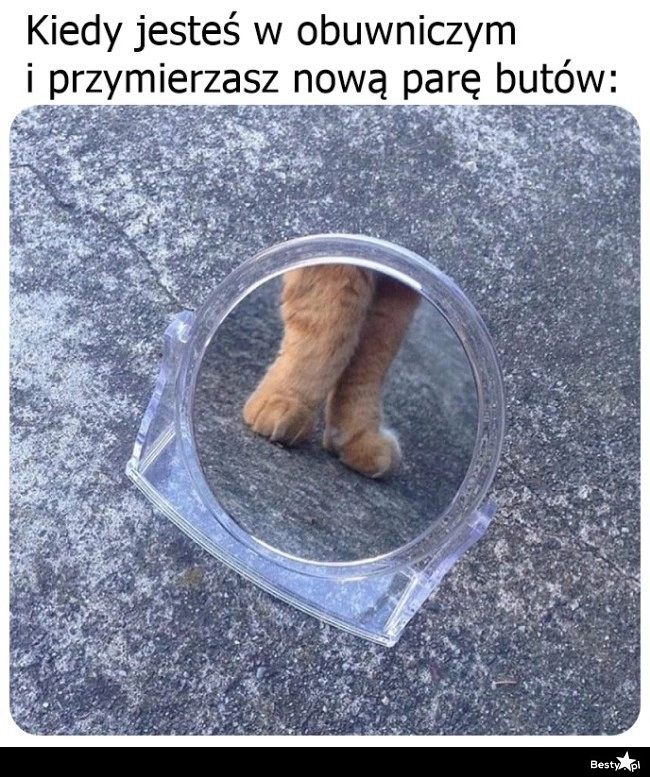 
    Leżą całkiem dobrze 