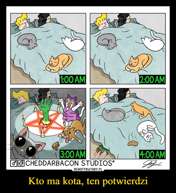 
    
Kto ma kota, ten potwierdzi 