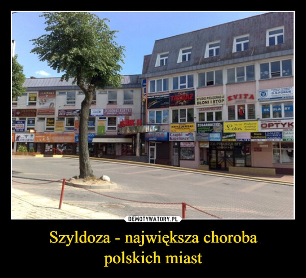 
    Szyldoza - największa choroba
polskich miast