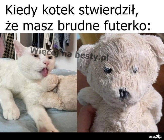 
    Wymyty jak trzeba 