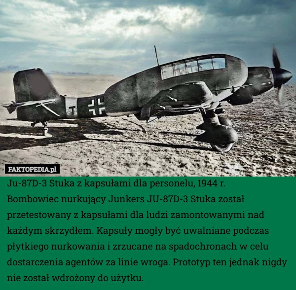 
    Ju-87D-3 Stuka z kapsułami dla personelu, 1944 r.
Bombowiec nurkujący Junkers