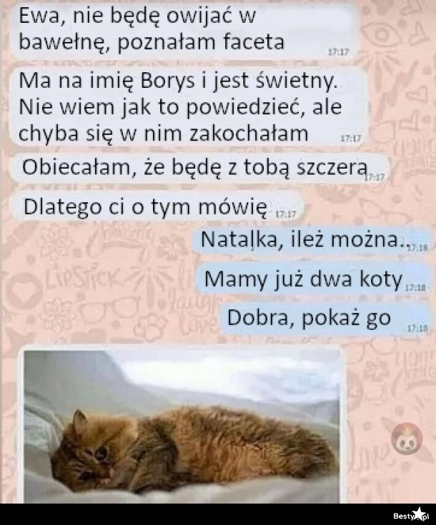 
    Nowa miłość 