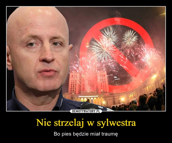 
    
Nie strzelaj w sylwestra 